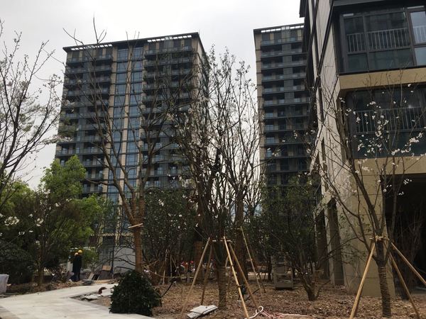 丽水天阳中山邸